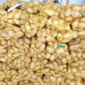 2021 New Season Fresh Vegetable Exporter With International Certificationss Fresh Potato